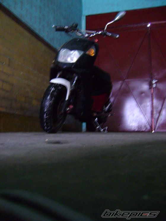 Photo 1557393