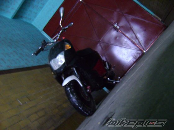 Photo 1557395