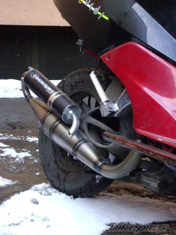 Photo 1557409