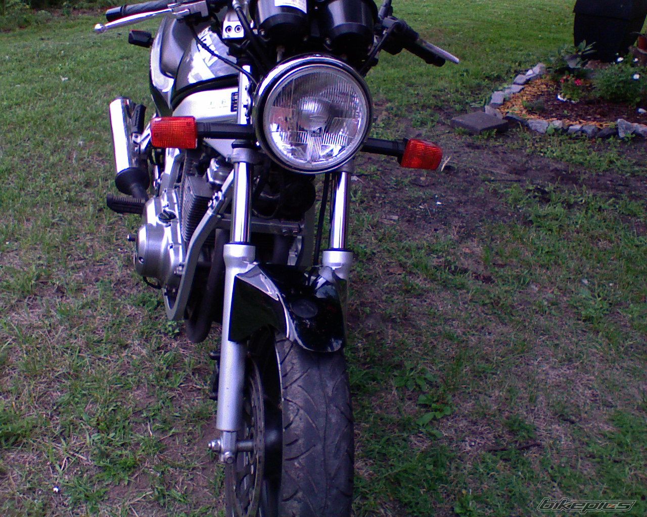 Photo 1557416
