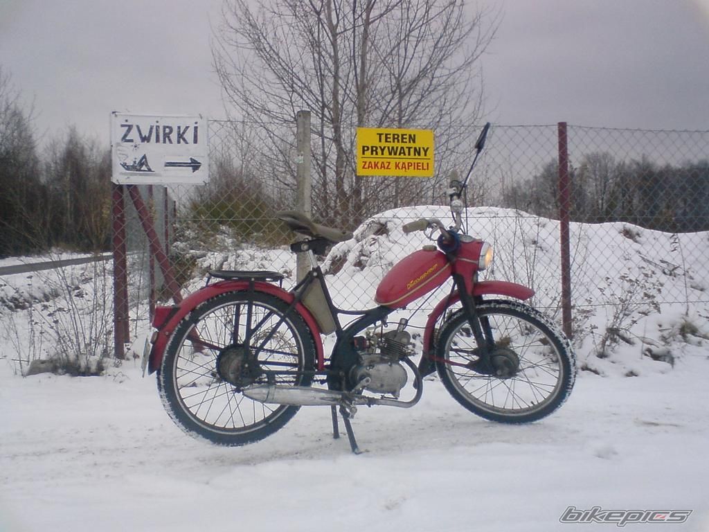 Photo 1557458