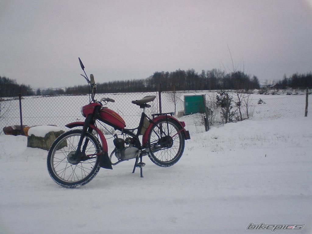 Photo 1557461