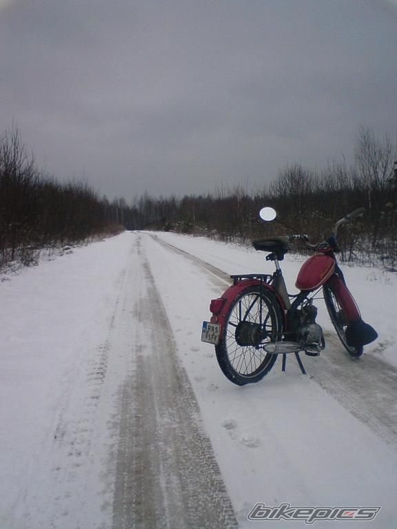 Photo 1557462