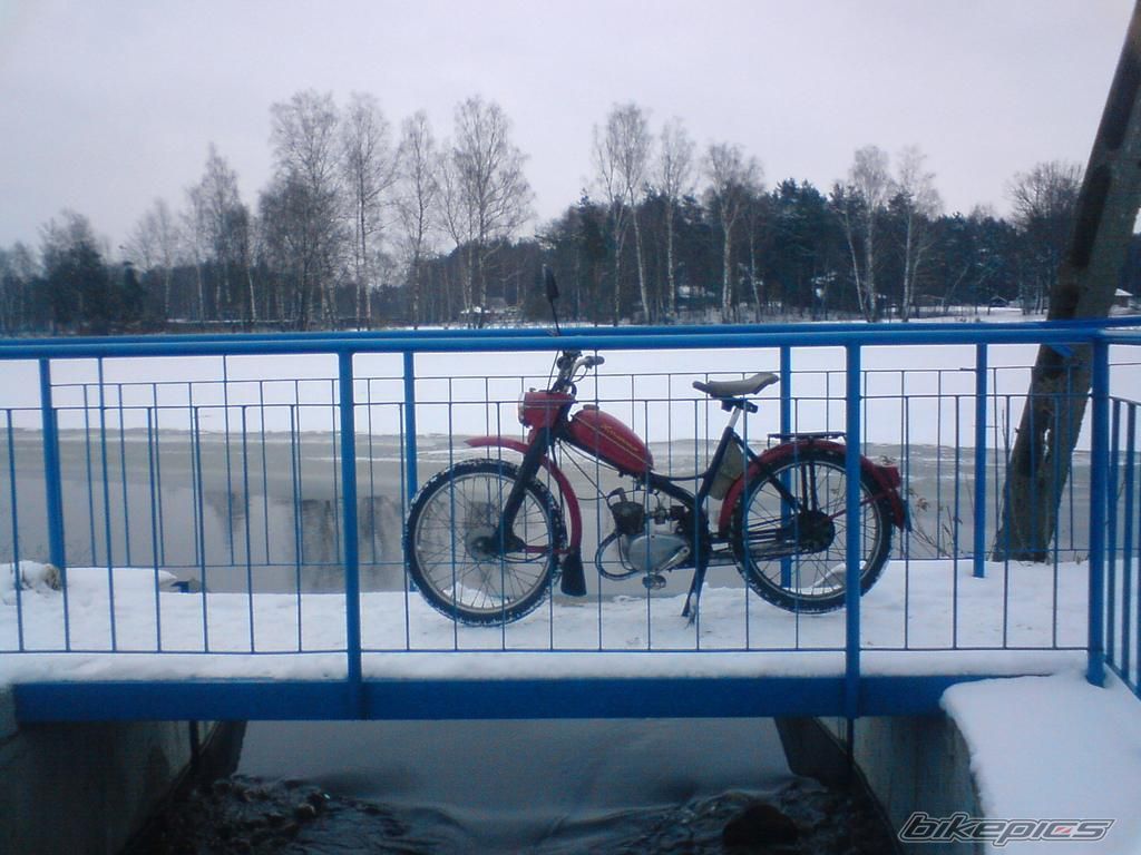 Photo 1557466