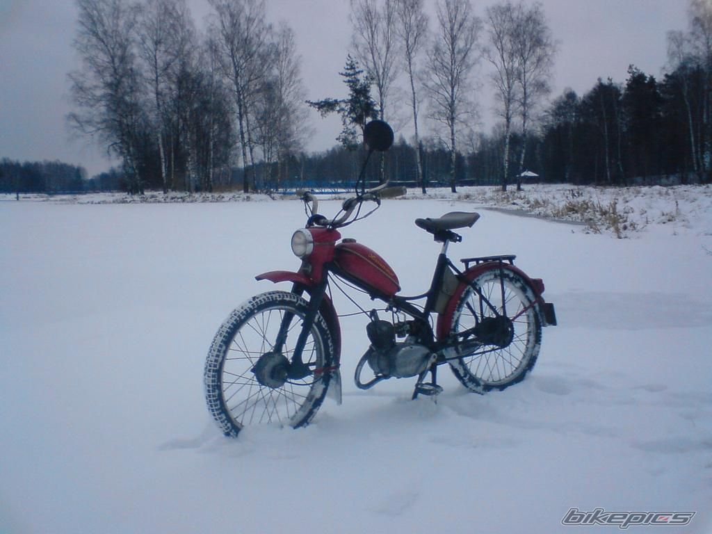 Photo 1557468