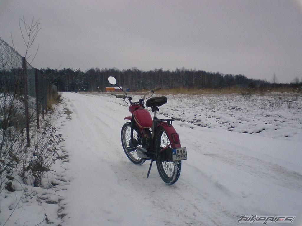 Photo 1557473