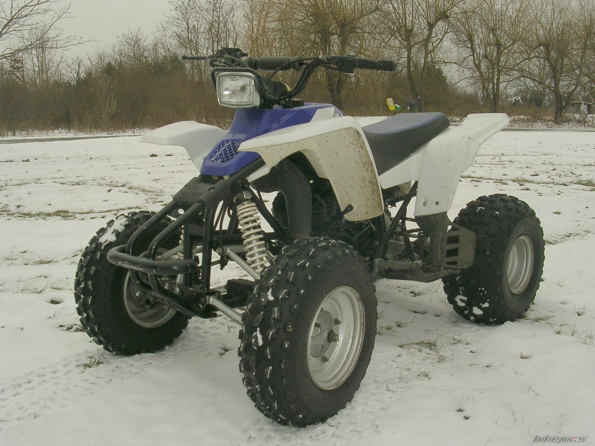 Photo 1557476