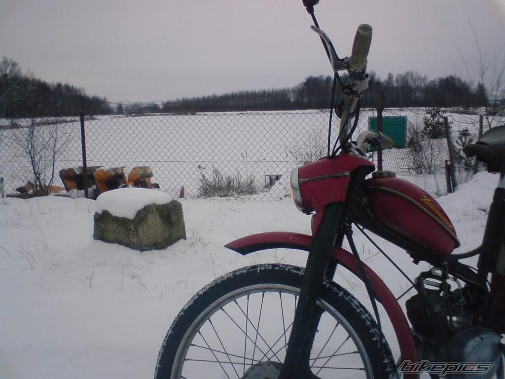 Photo 1557477