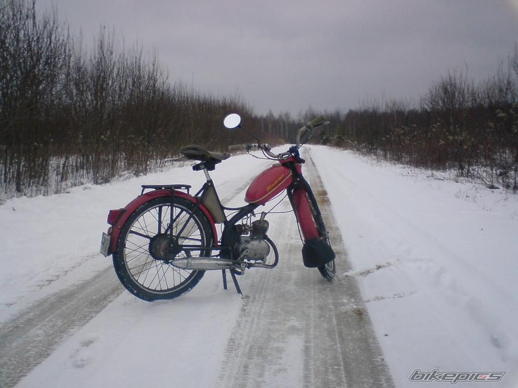 Photo 1557478
