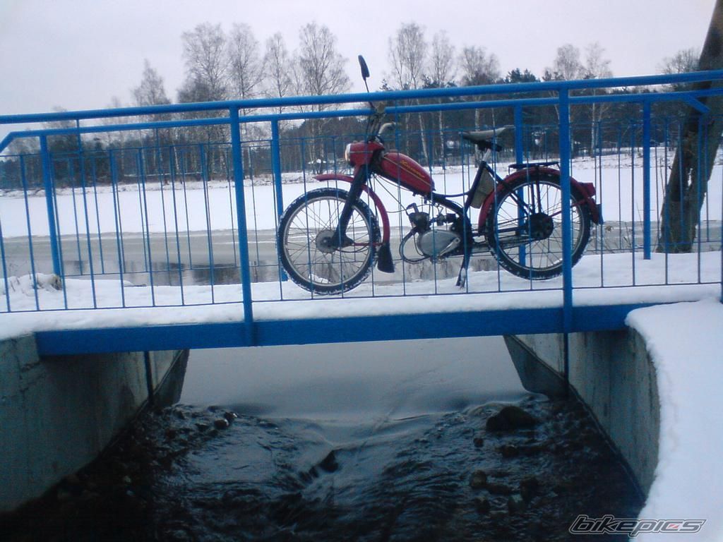 Photo 1557481