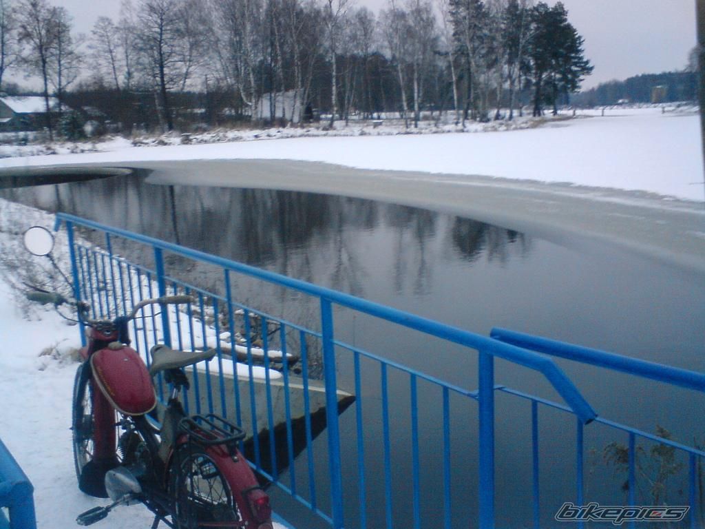 Photo 1557482