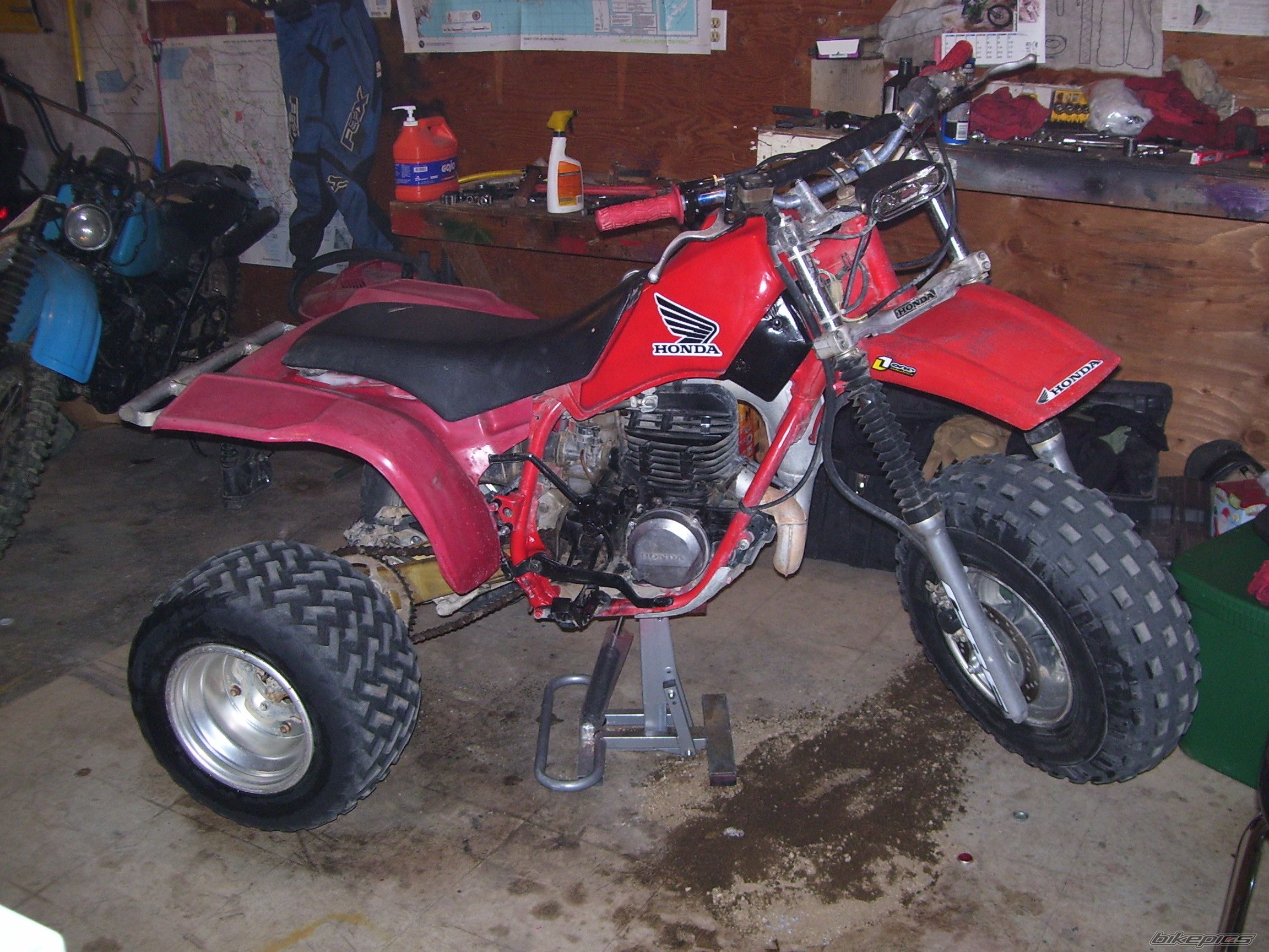 Photo 1557520