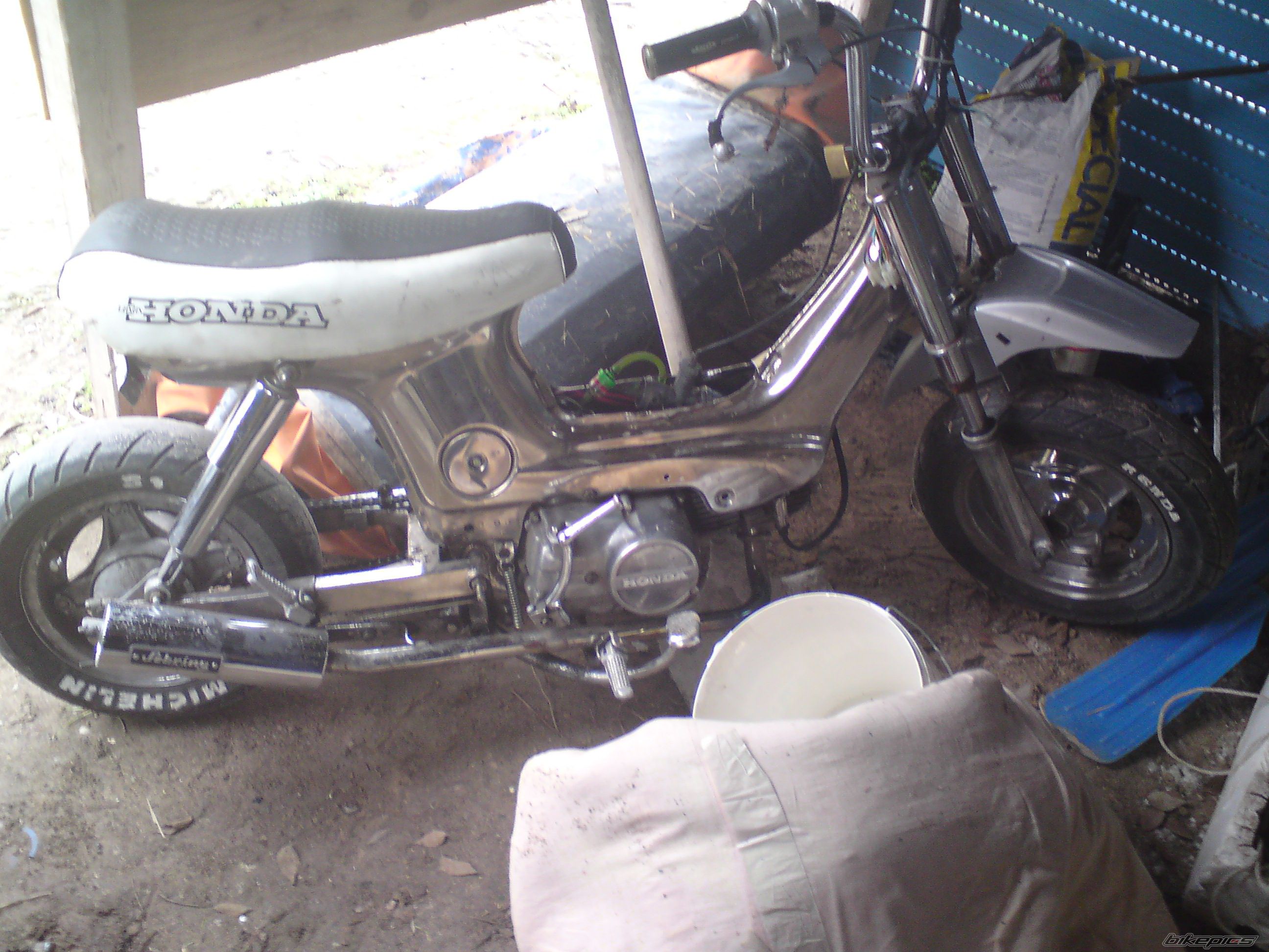 Photo 1557538