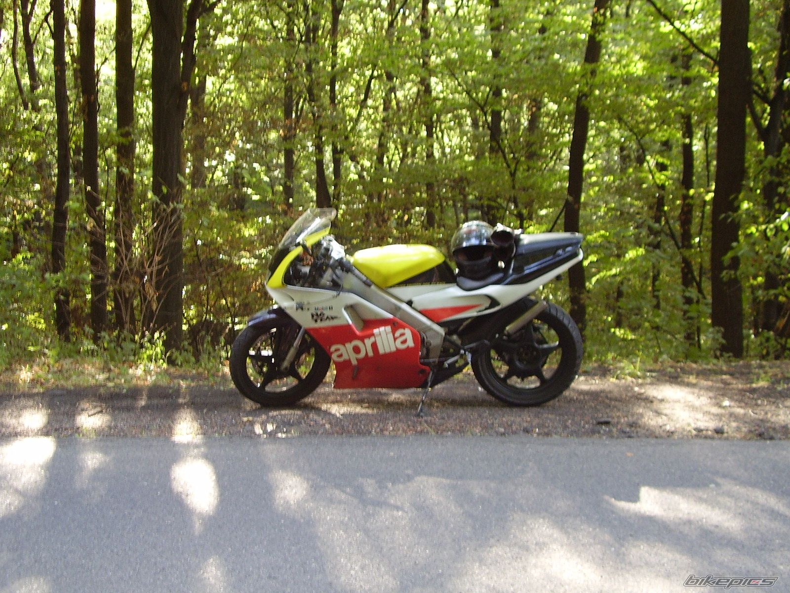 Photo 1557546