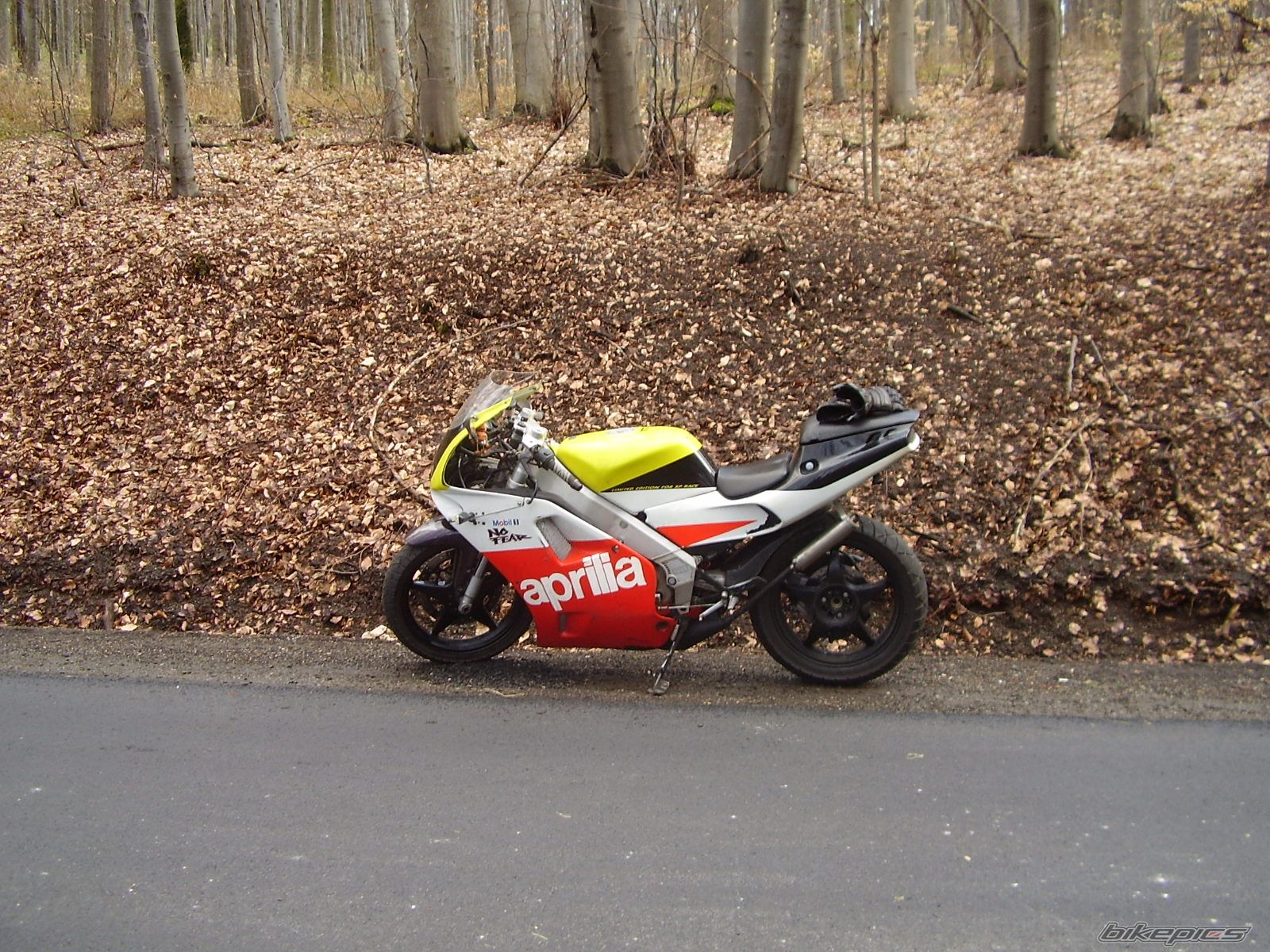 Photo 1557550