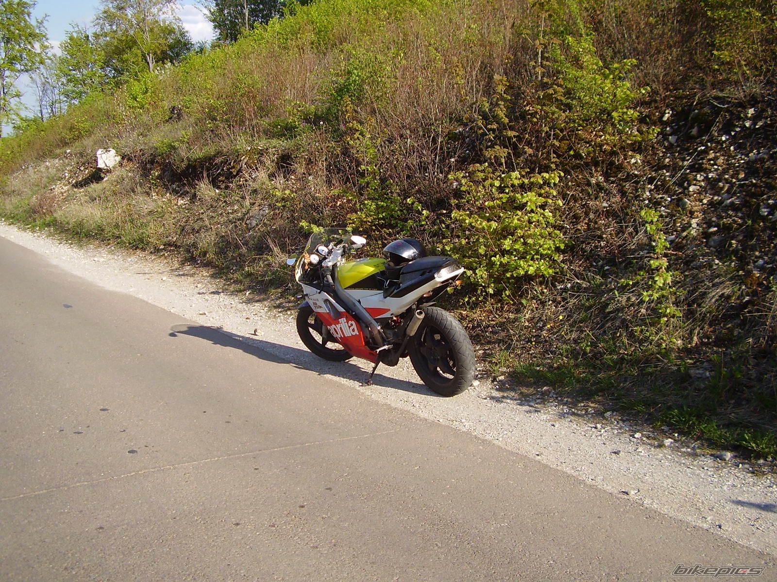 Photo 1557564