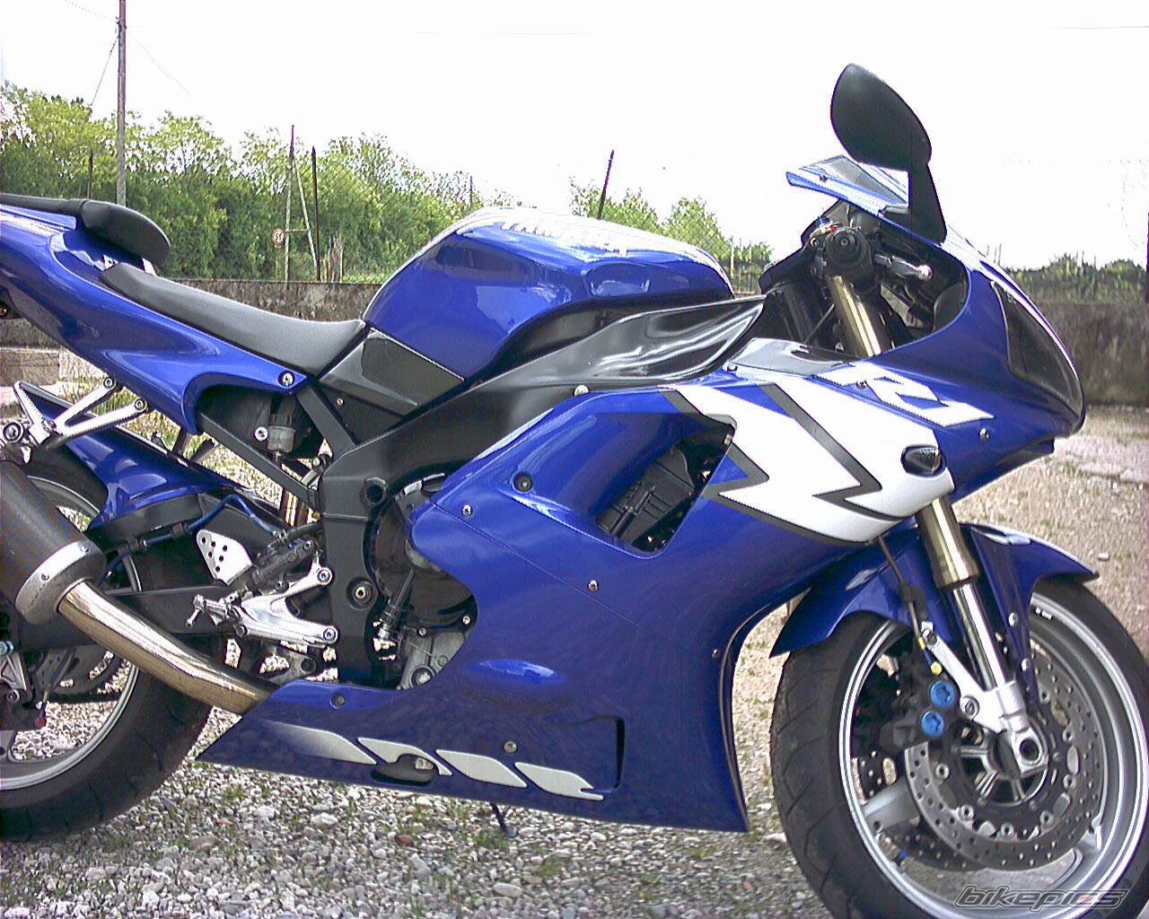 Photo 155768