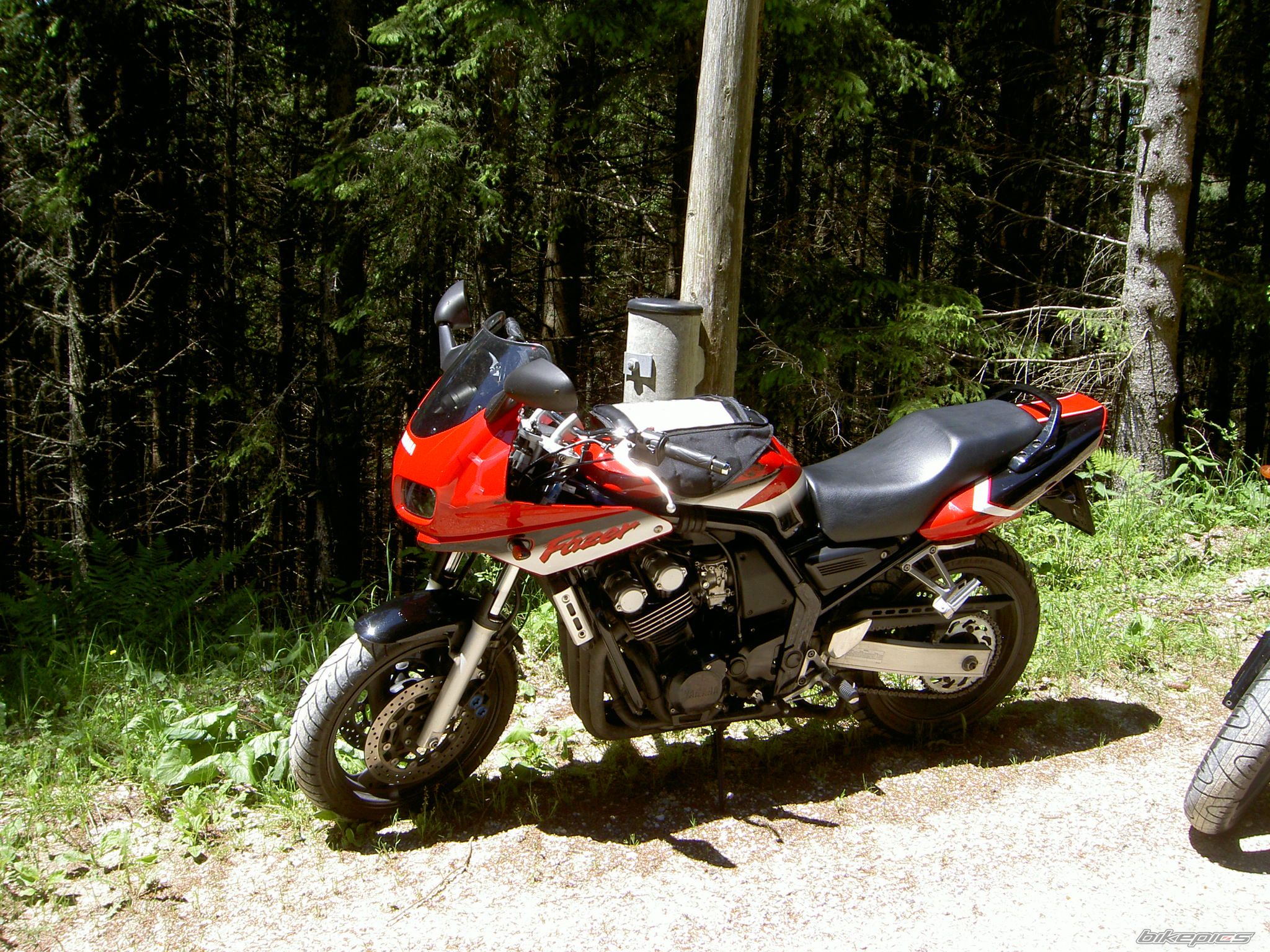 Photo 1557696