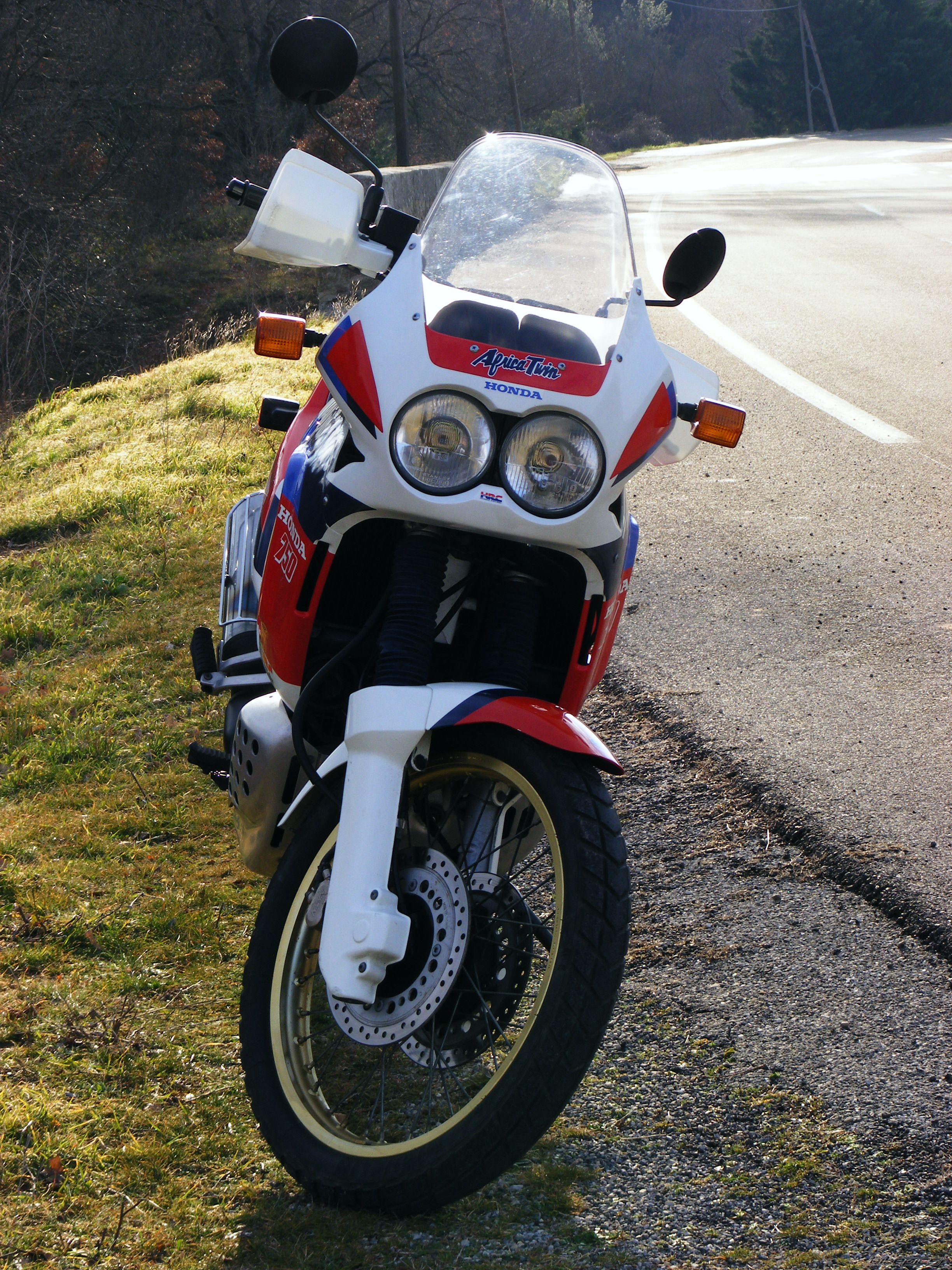 Photo 1557702