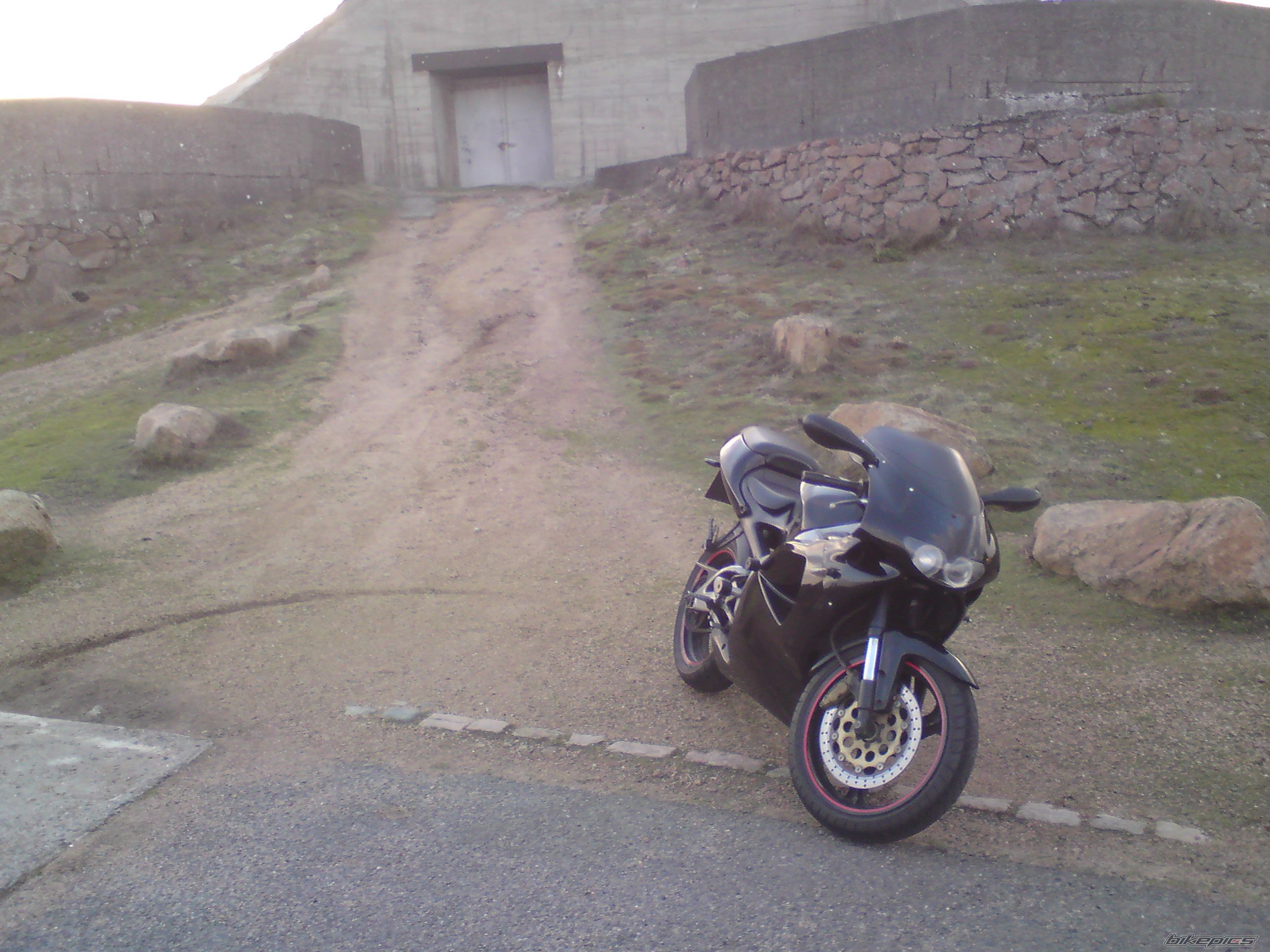 Photo 1557720