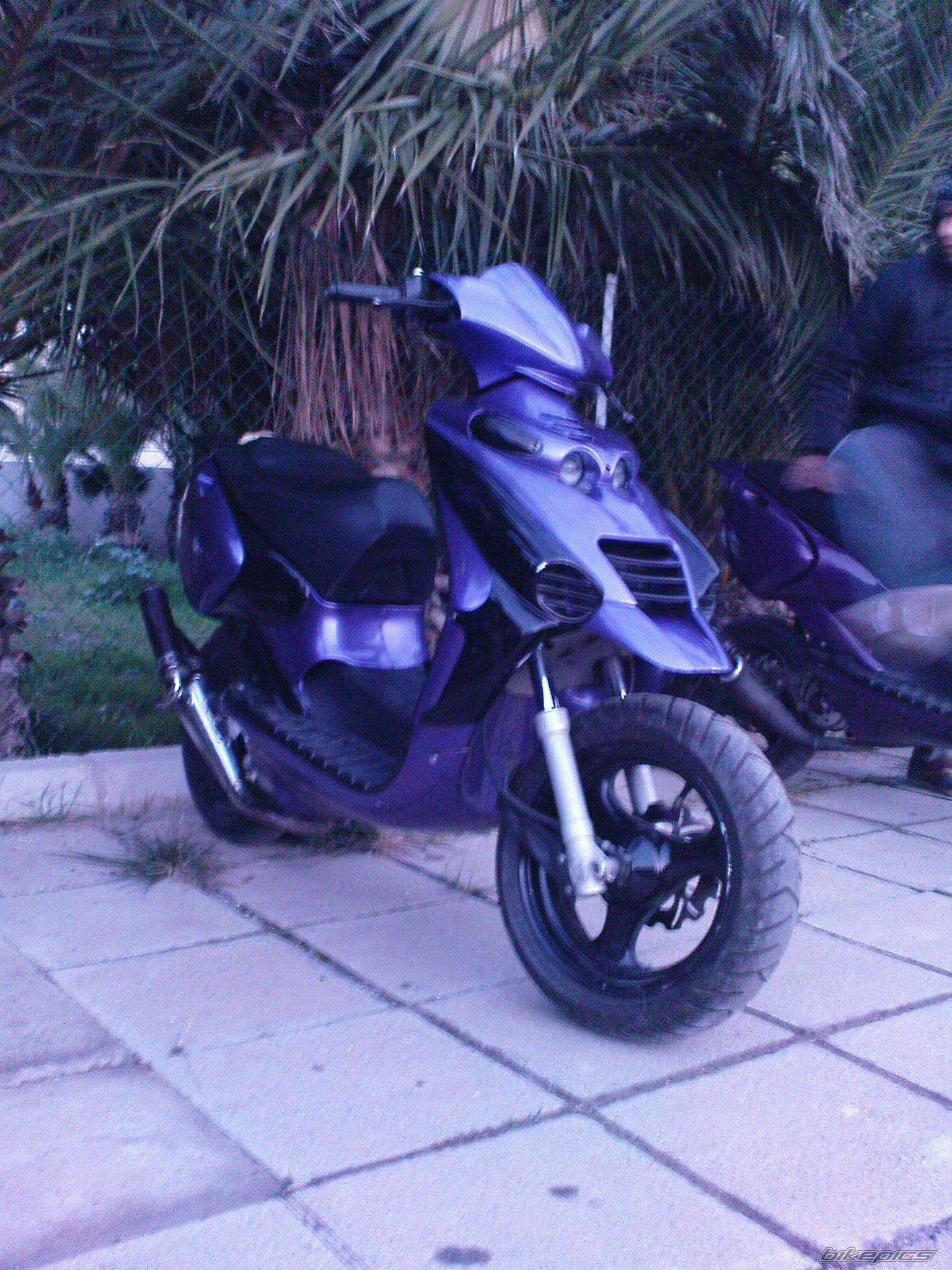 Photo 1557742