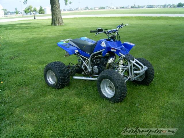 Photo 155776