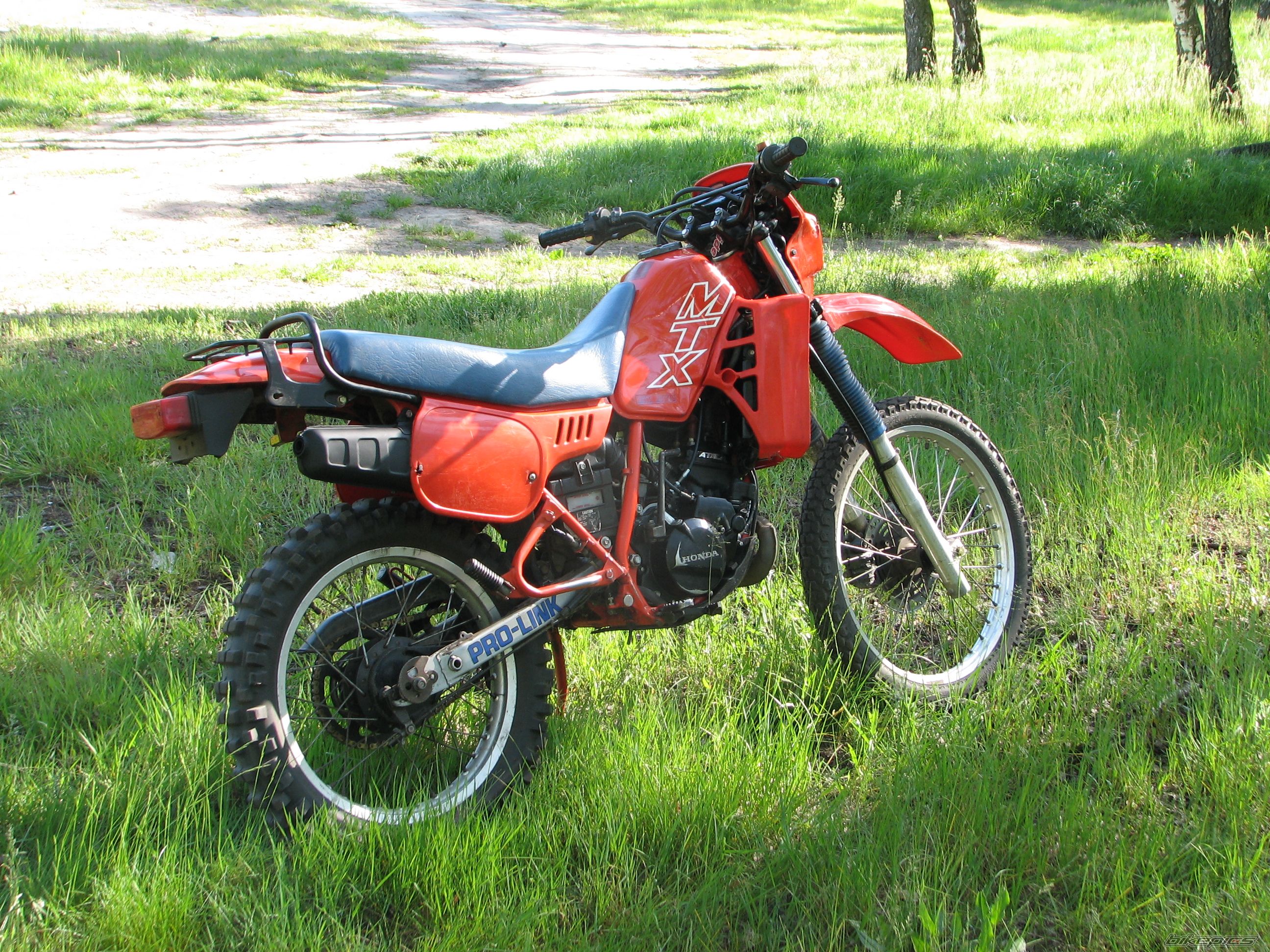 Photo 1557778
