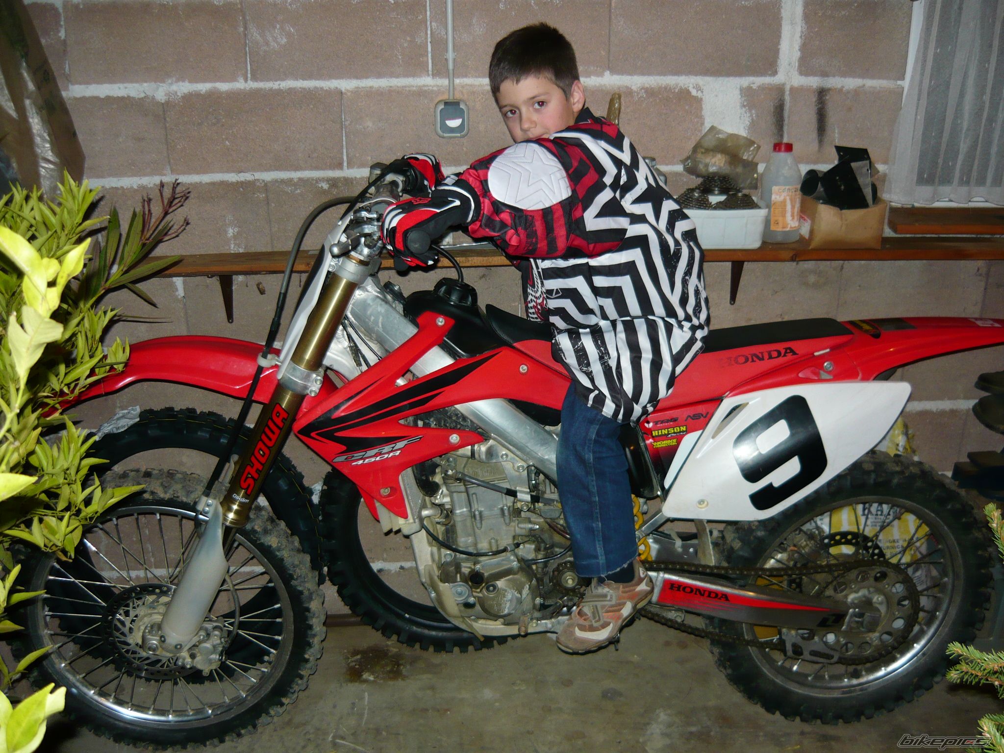 Photo 1557779