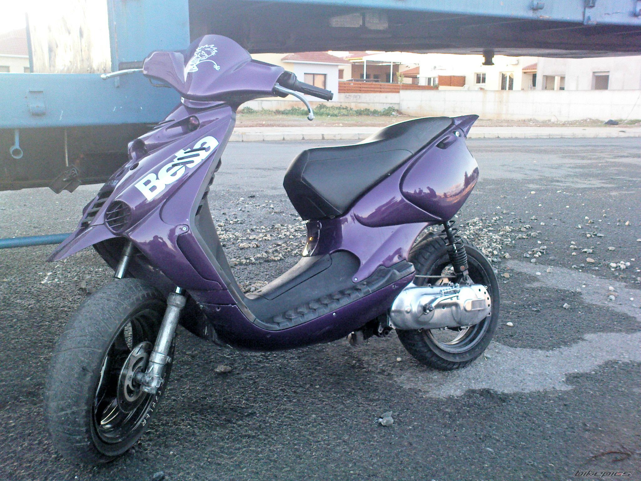 Photo 1557782