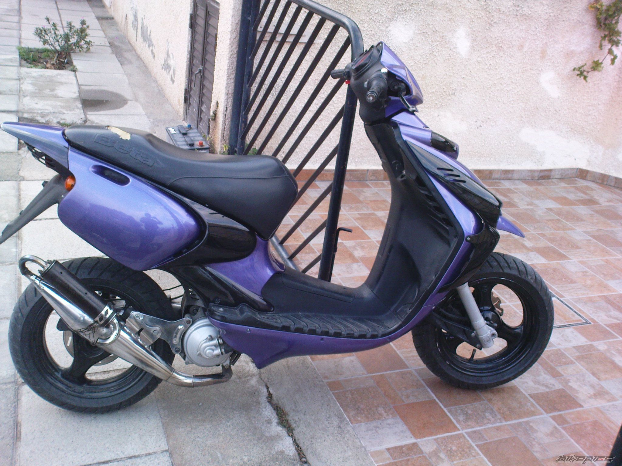 Photo 1557789