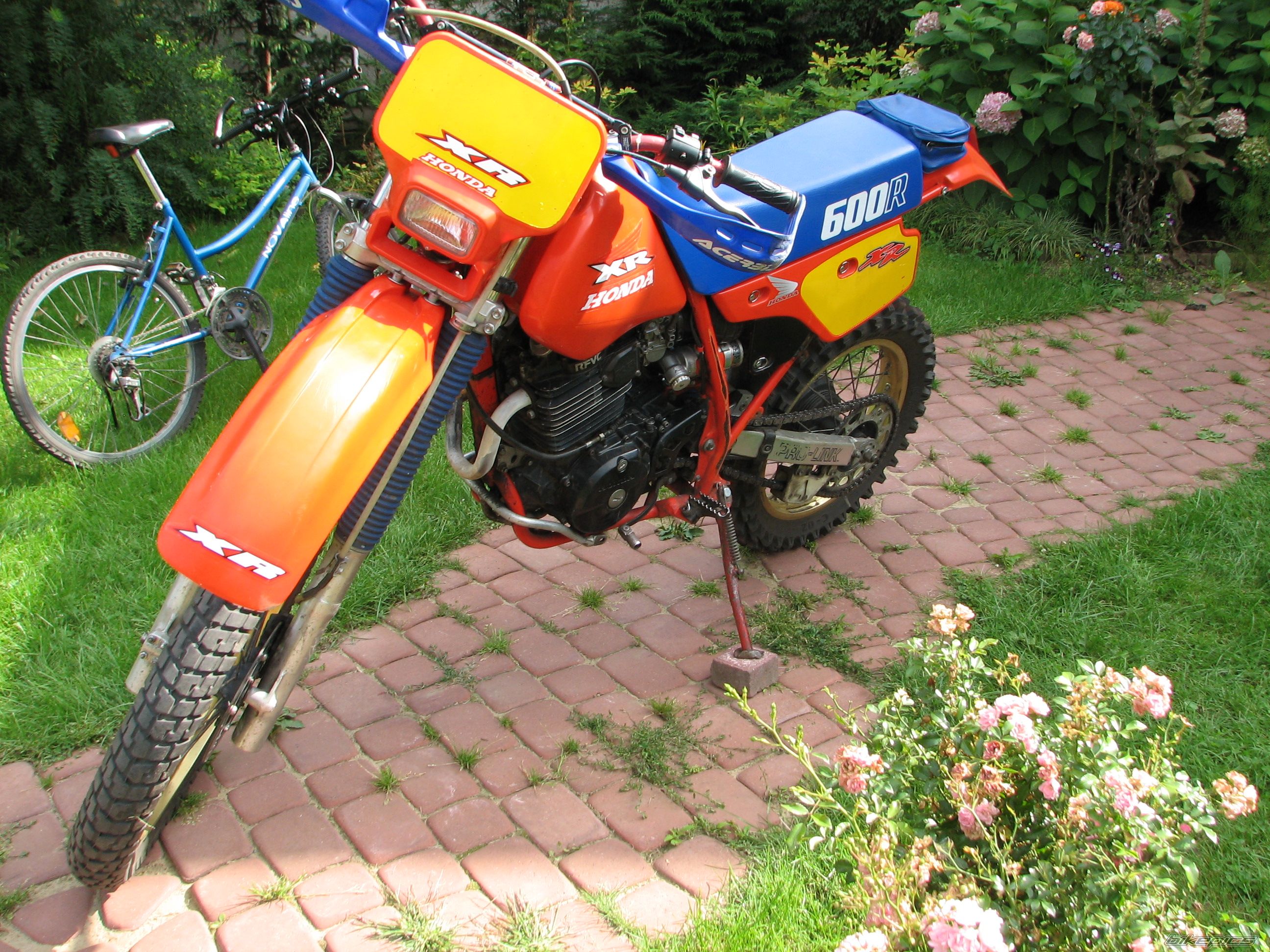 Bike Photo 1557797