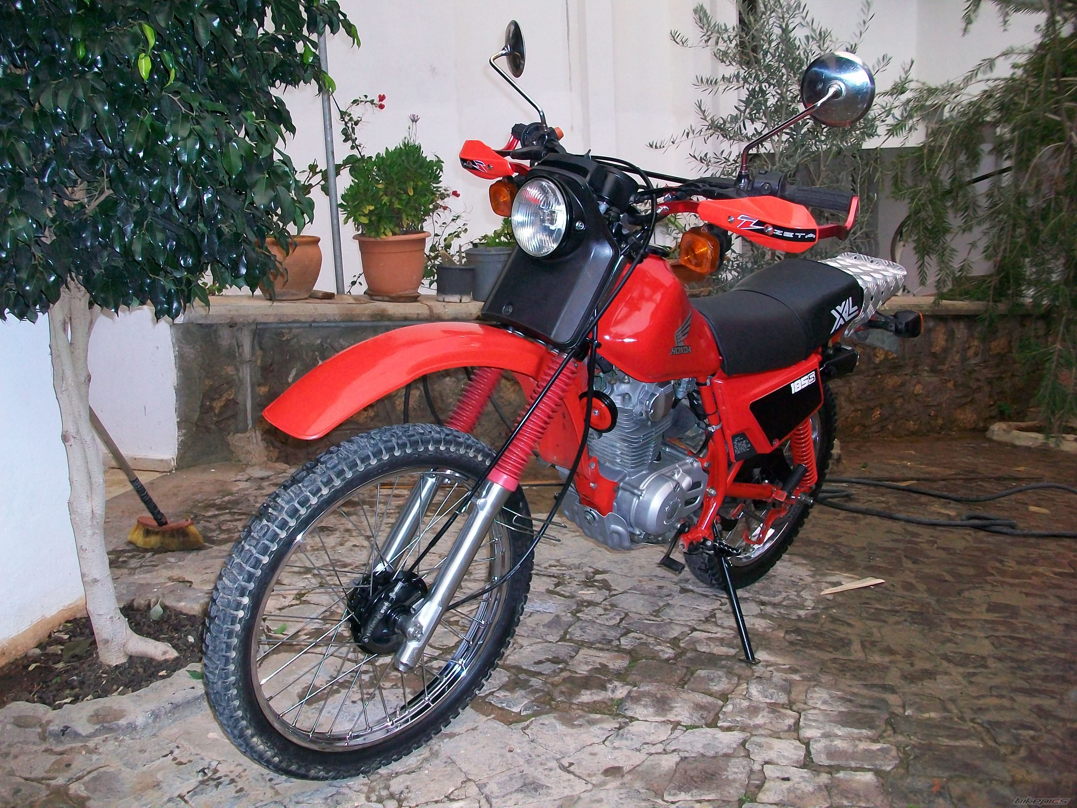 Photo 1557870