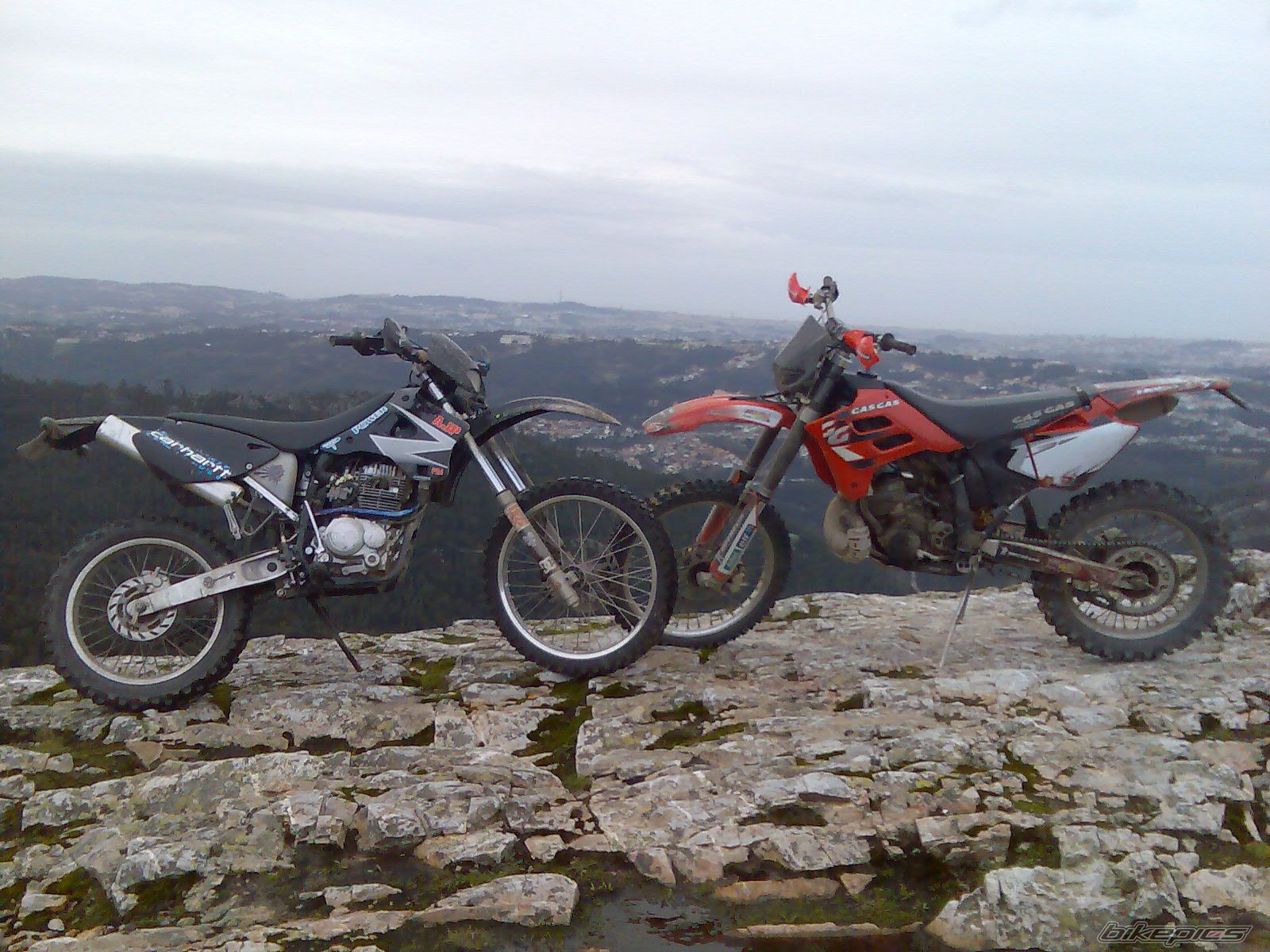 Photo 1557881