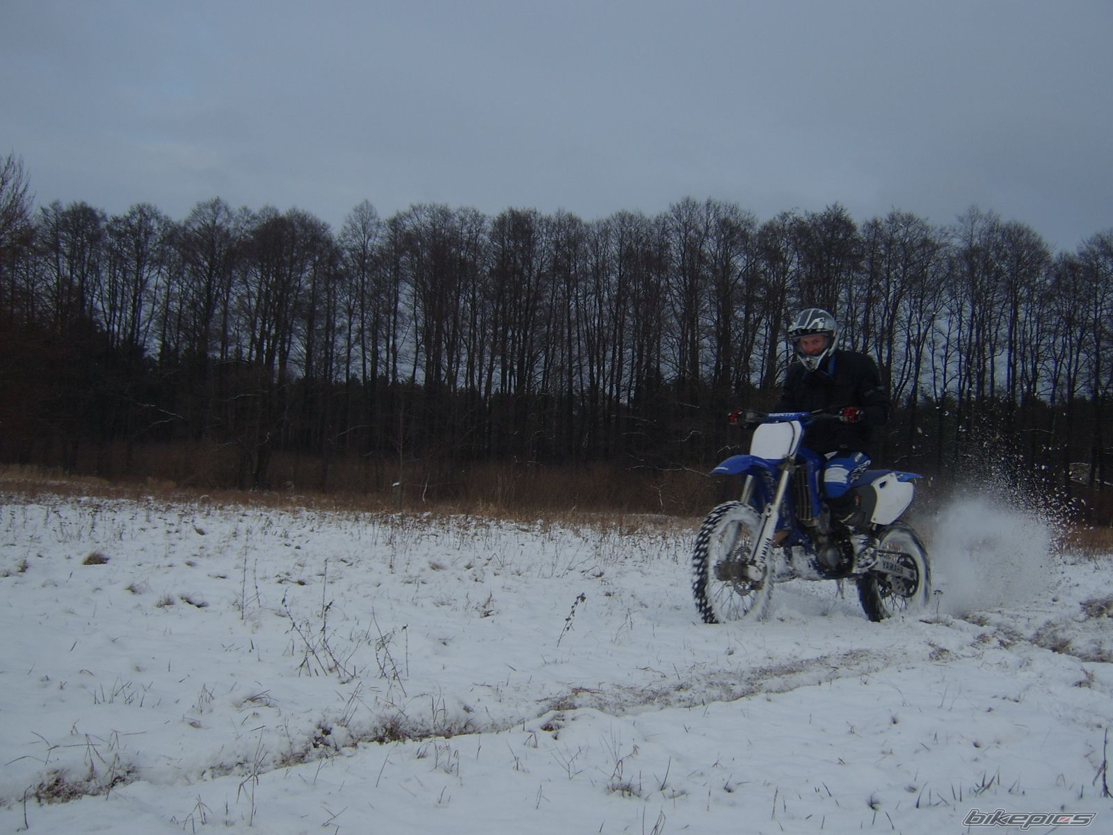Photo 1557882