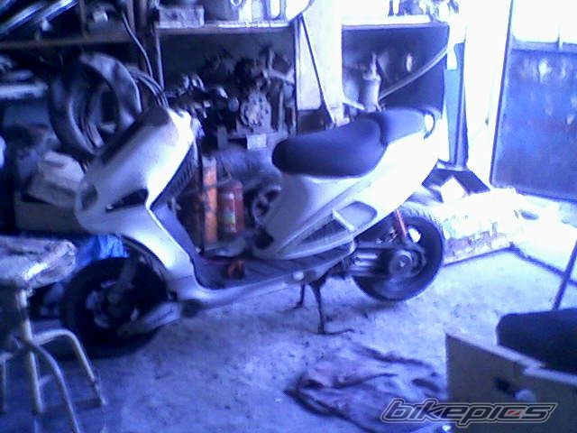 Photo 1557883