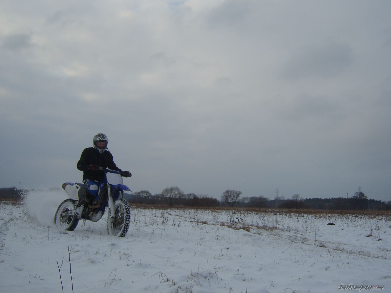 Photo 1557889