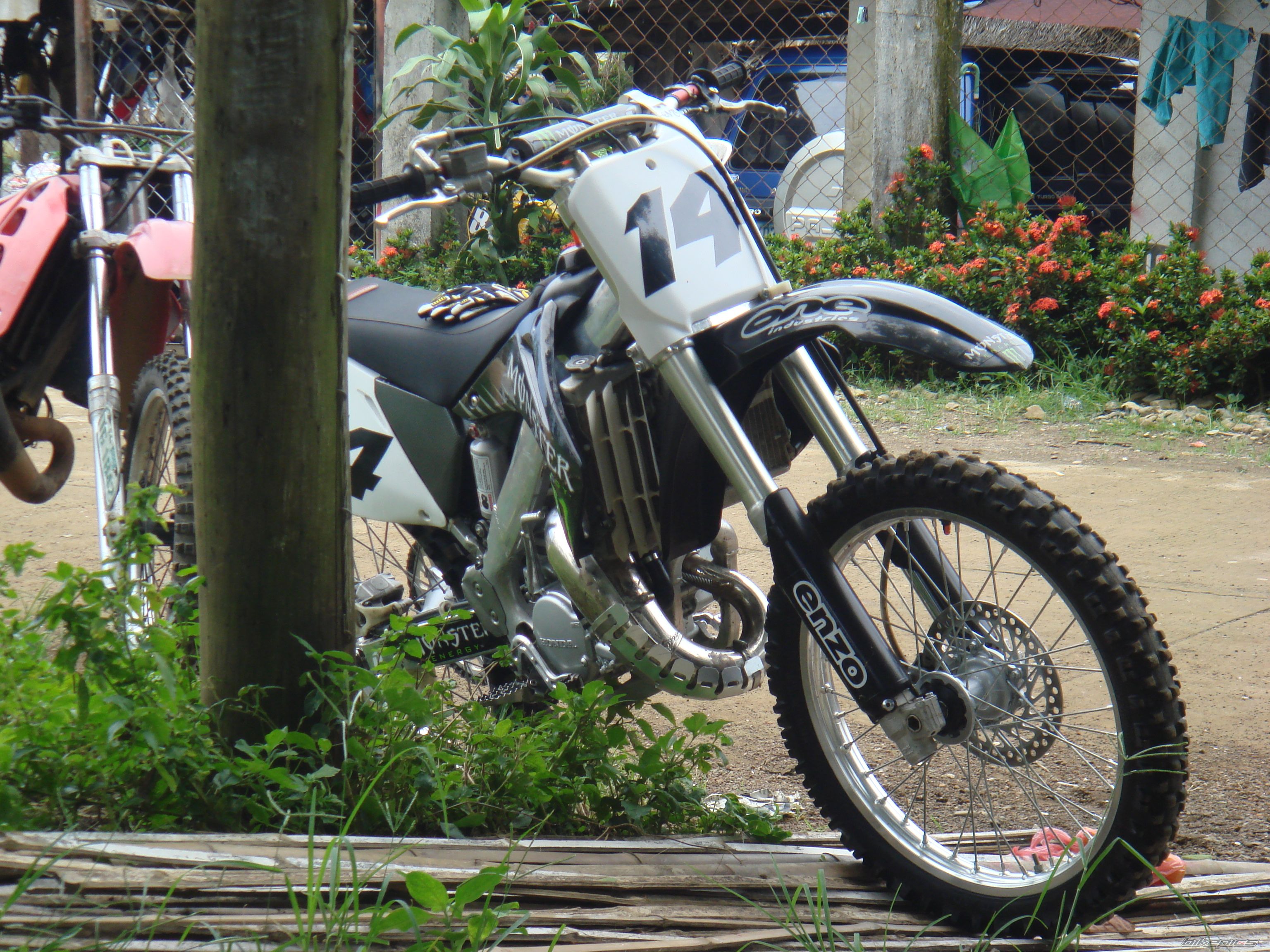 Photo 1557892