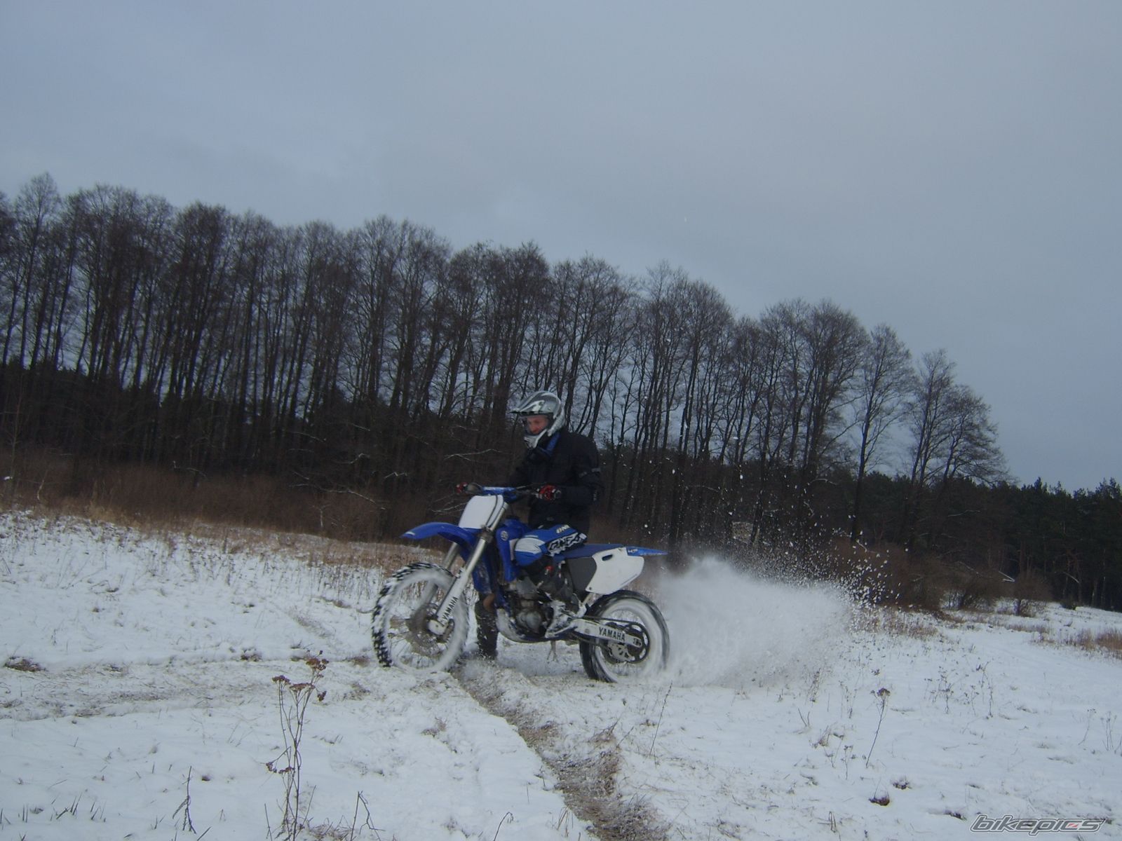 Photo 1557894