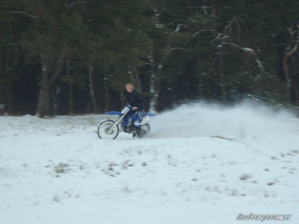 Photo 1557897