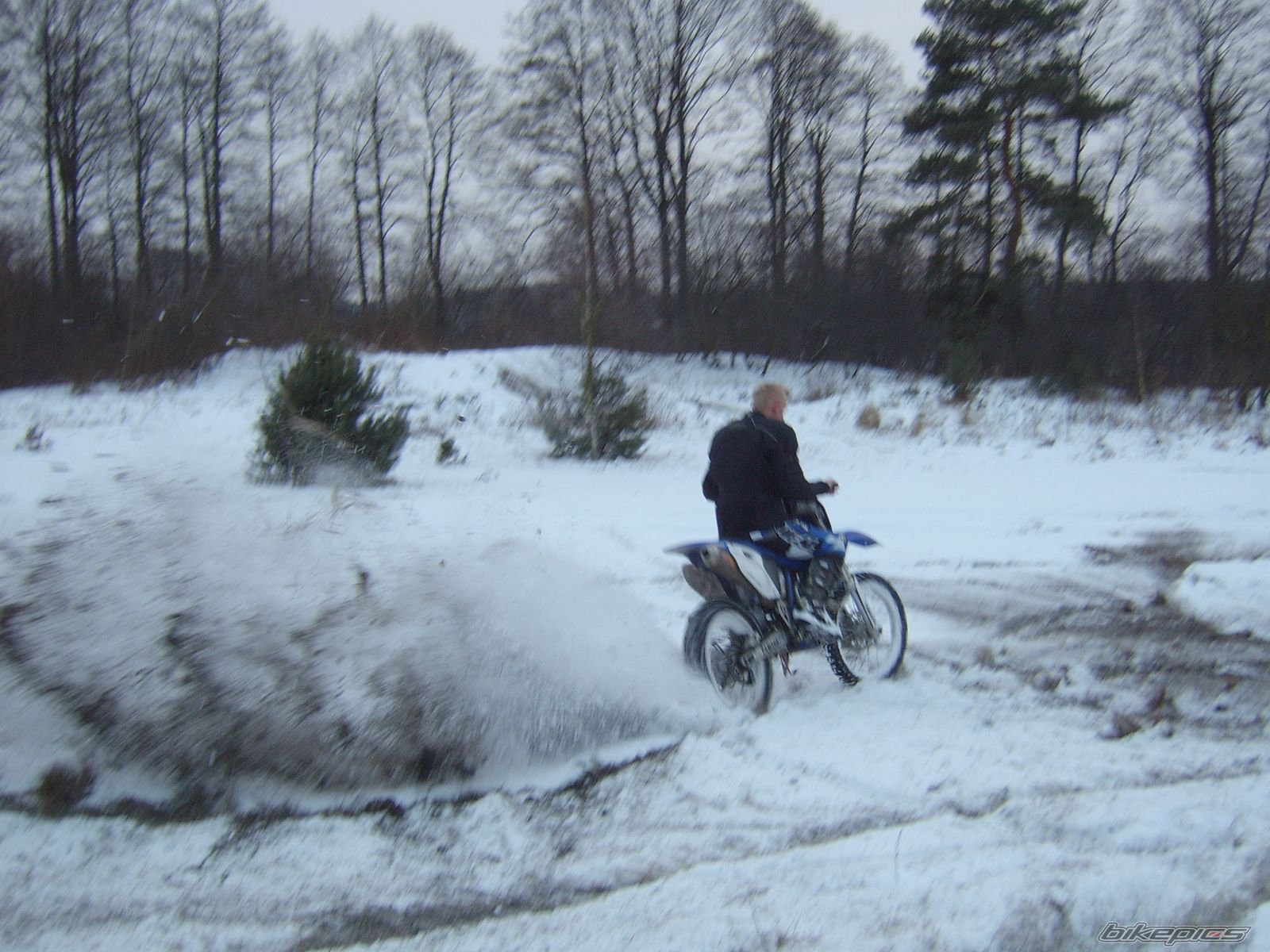Photo 1557922