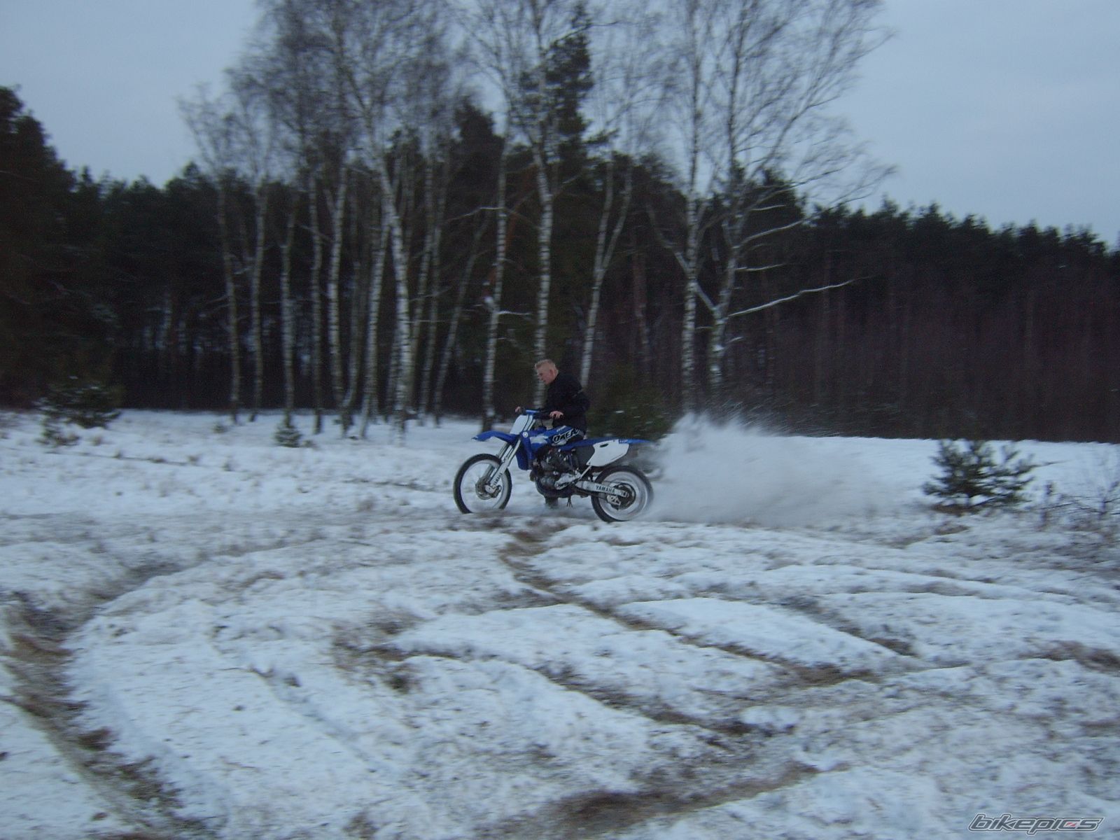 Photo 1557957