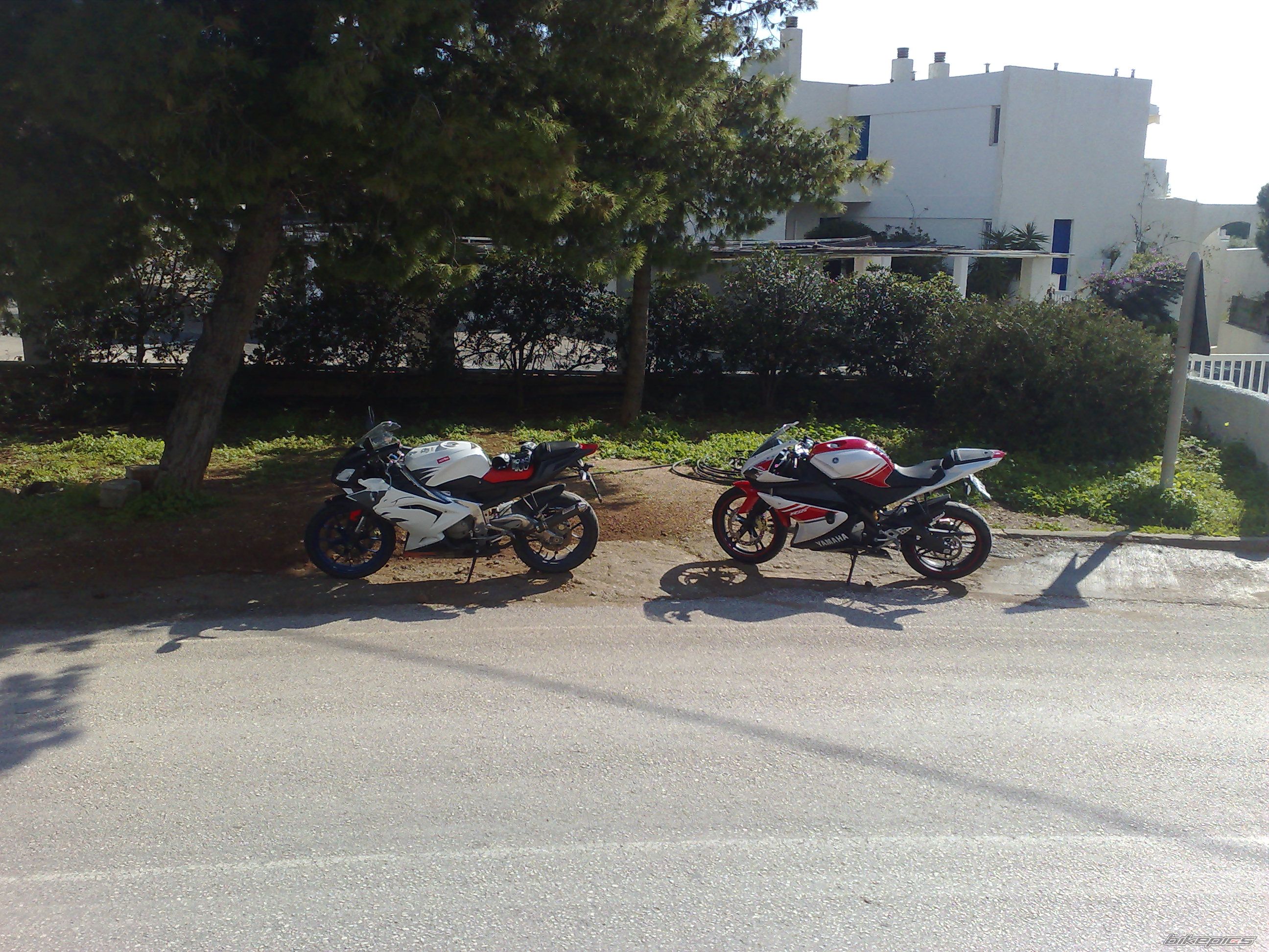 Bike Photo 1557959