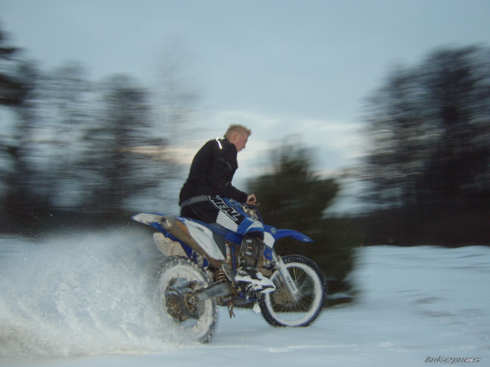 Photo 1557974