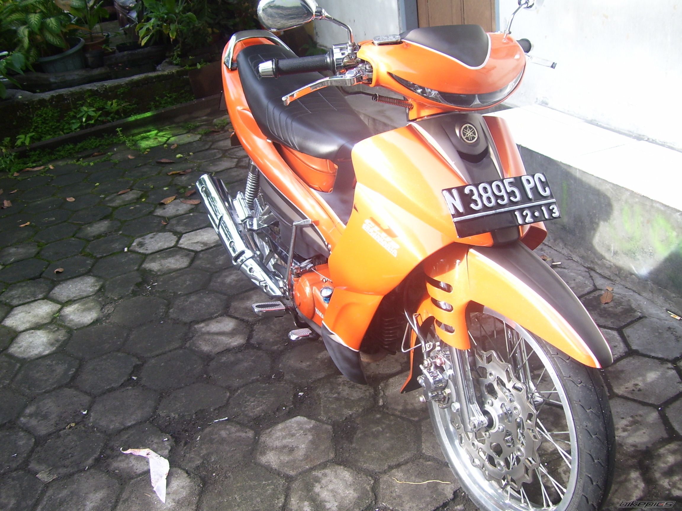 Photo 1557977