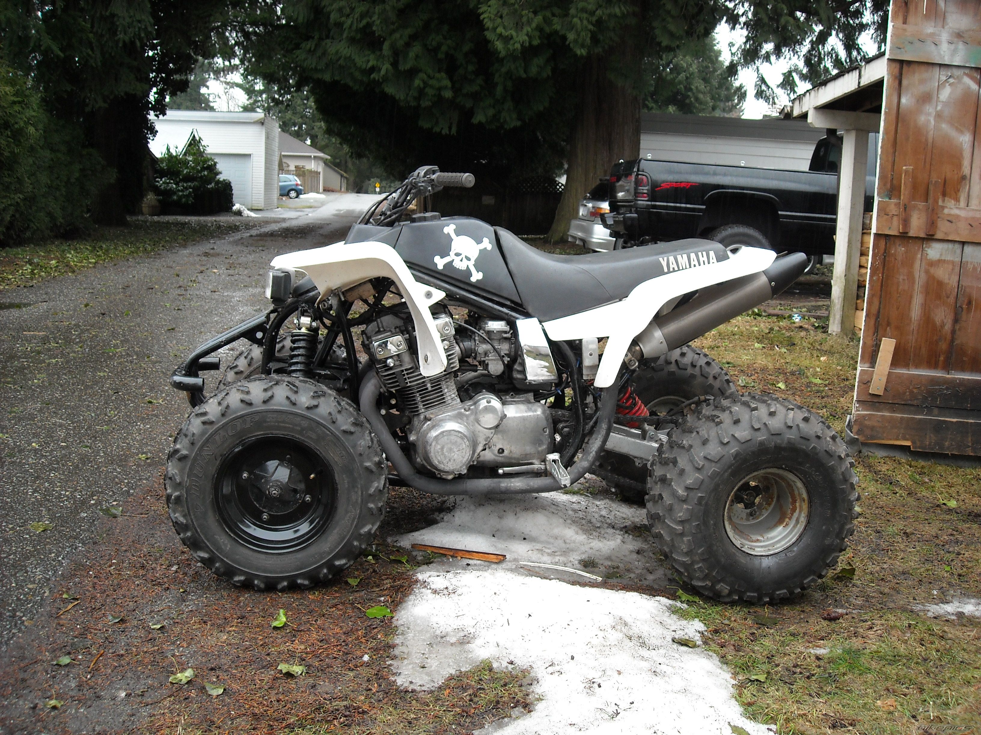 Photo 1557982