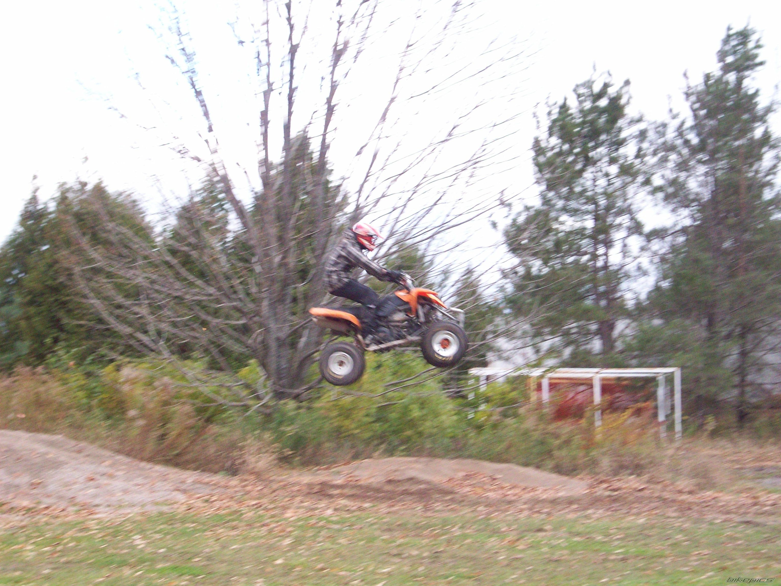 Photo 1557991