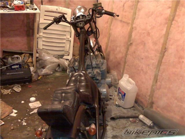 Photo 1558001