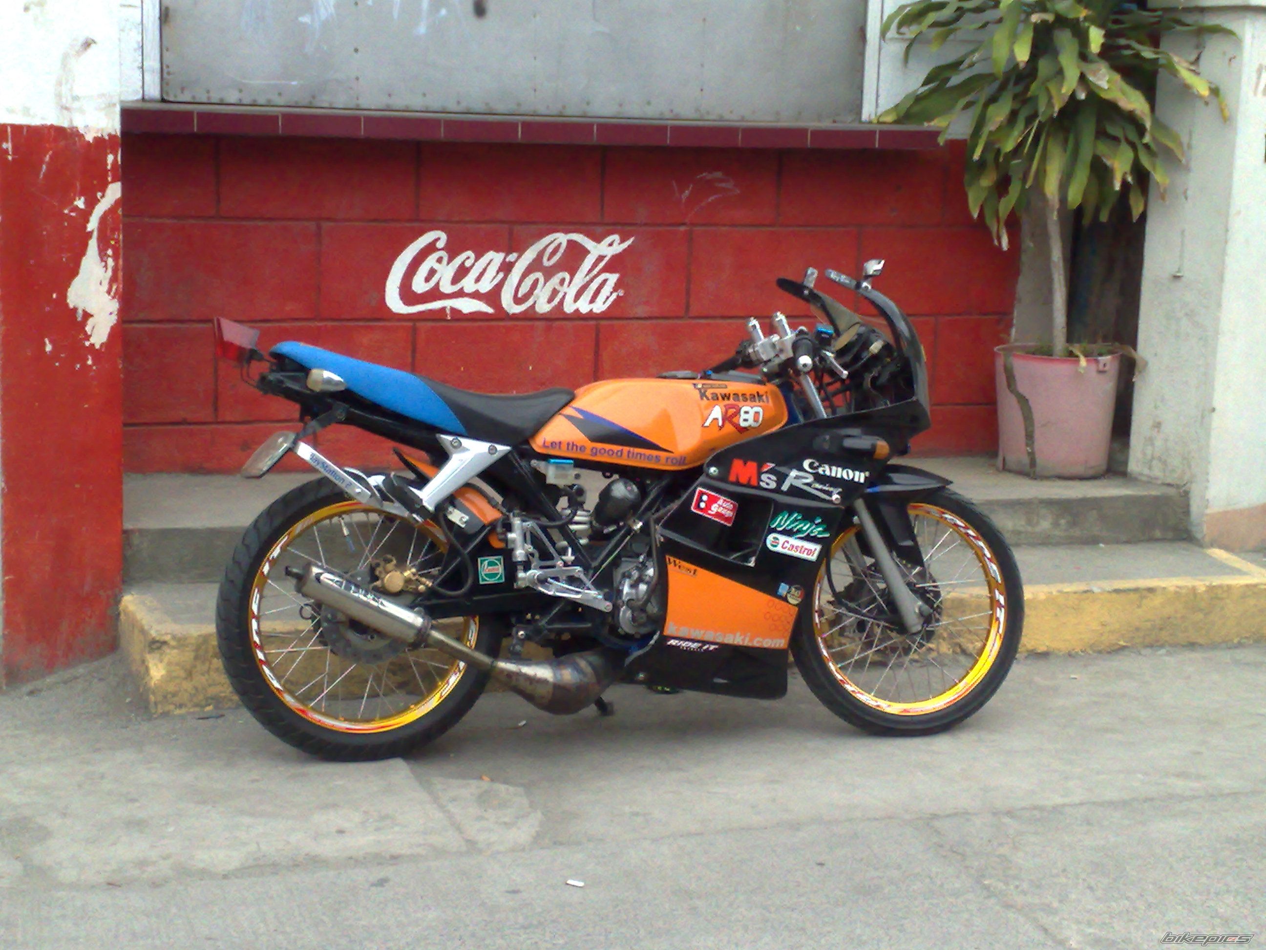 Photo 1558015