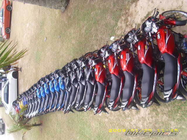 Photo 1558045