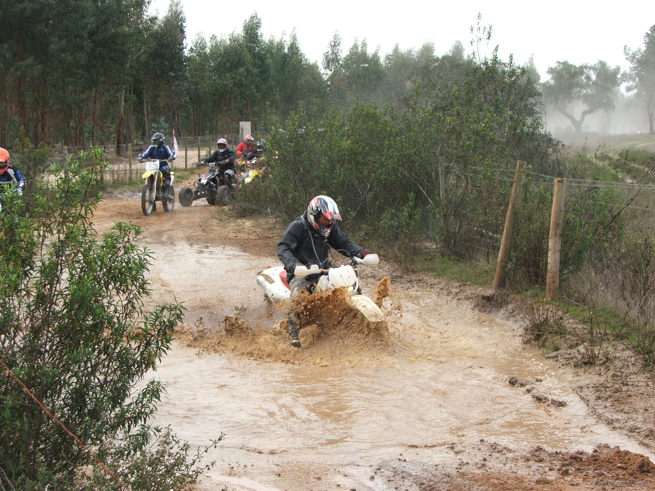 Bike Photo 1558227